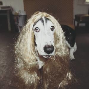 Meet your Posher, Bekah